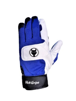Alpha 2.0 Blue Batting Gloves